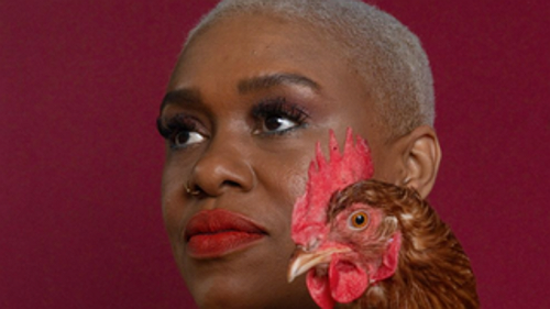 See How a Georgia Woman is Making the Most of the High Cost of Eggs