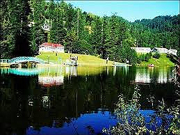 Banjosa Lake is one of the most picturesque tourist destinations in northern Pakistan. Nestled amid...