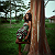 Post: